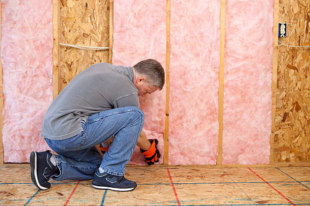 Best Insulation Materials and Products in Logan Elm Village, OH