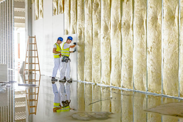 Best Residential Insulation in Logan Elm Village, OH